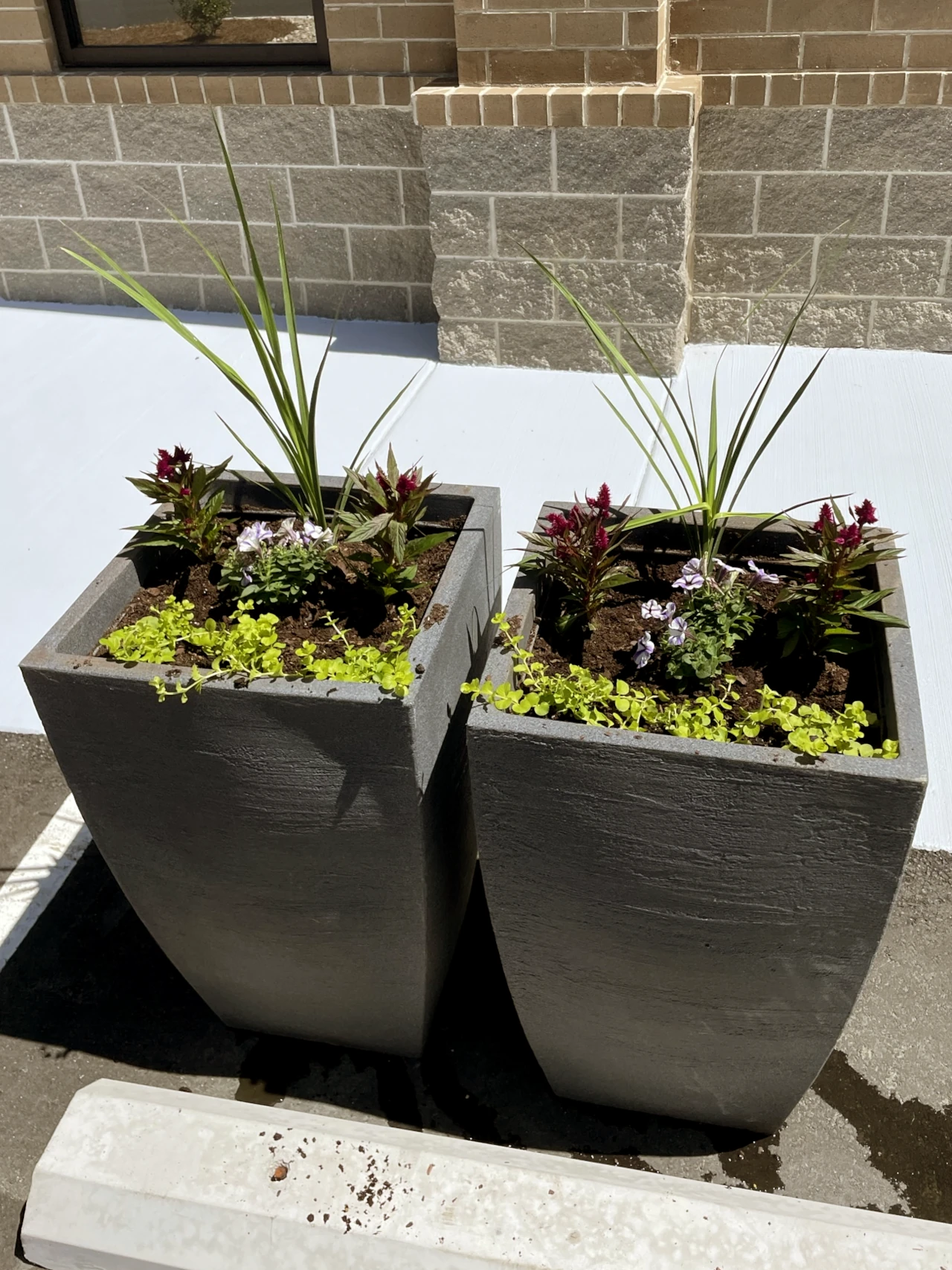 Modern commercial plant installation in tall planters for a parking lot area in Winston-Salem, NC by GH Cutting Edge