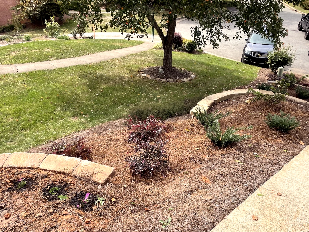 Newly upgraded residential garden with plant installation in Winston-Salem, NC by GH Cutting Edge